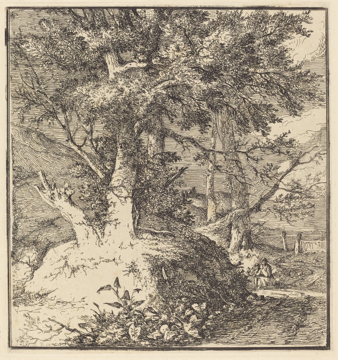 Albero su un tumulo da John Crome