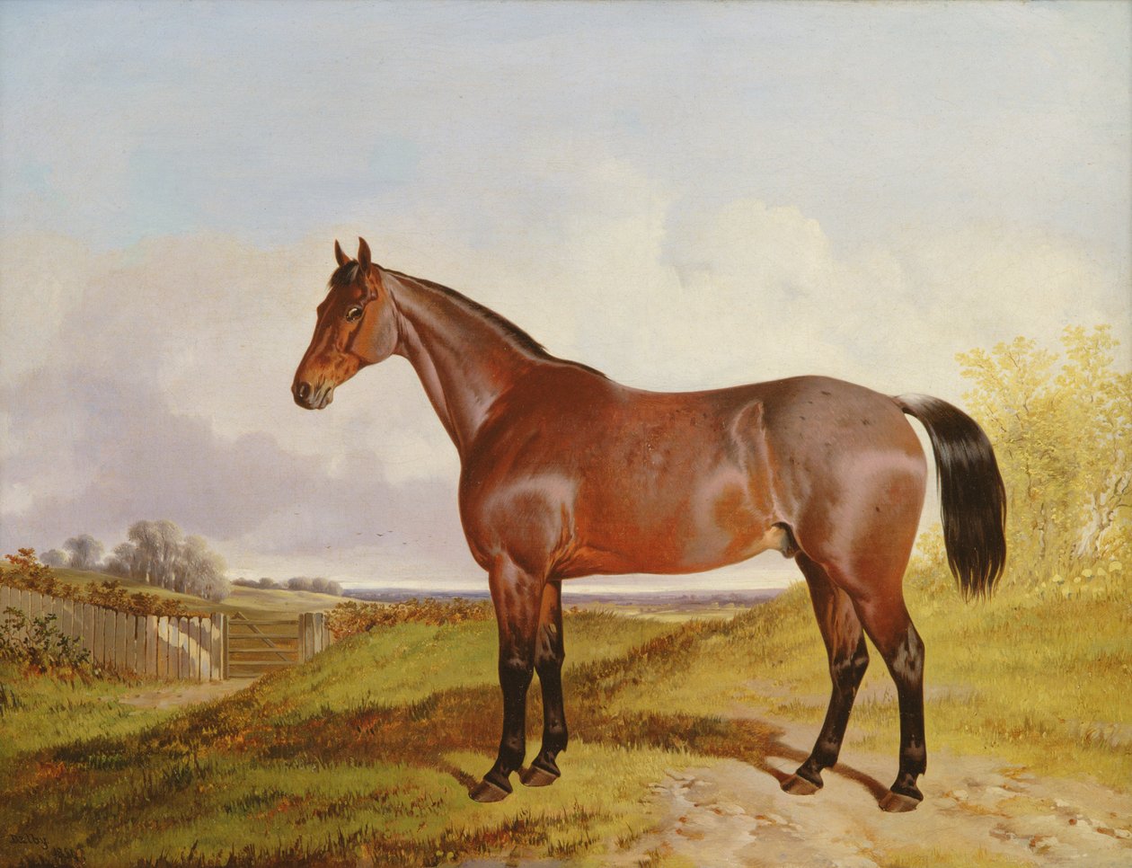 Studio di un cavallo baio in un paesaggio, 1854 da John Dalby