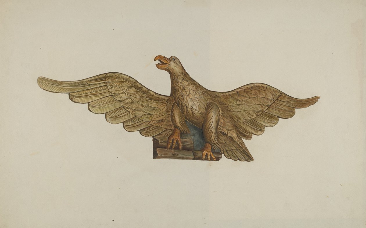 Aquila da John Davis