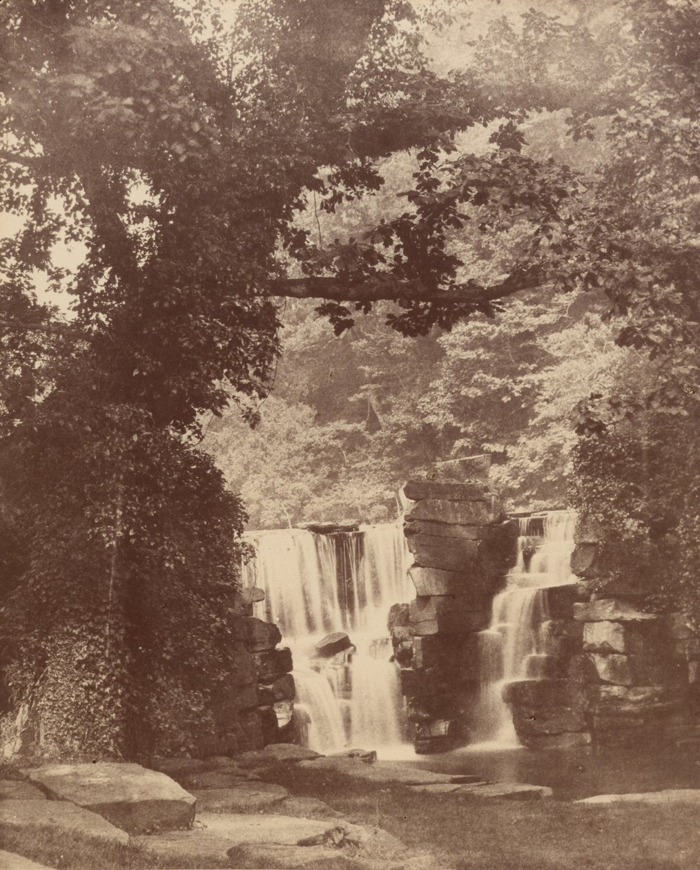 La cascata superiore, bosco della valle di Penllergare, c. 1852 (foto) da John Dillwyn Llewelyn