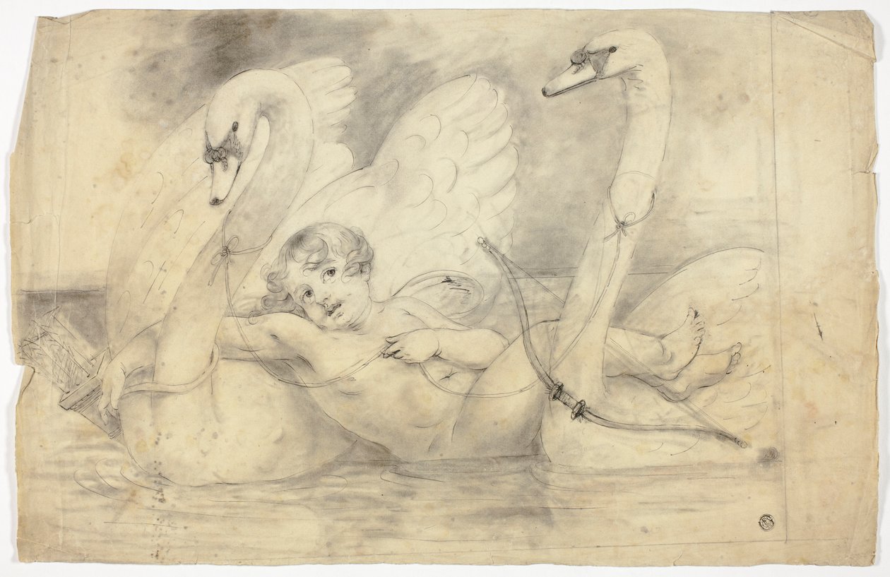 Cupido e i cigni da John Downman