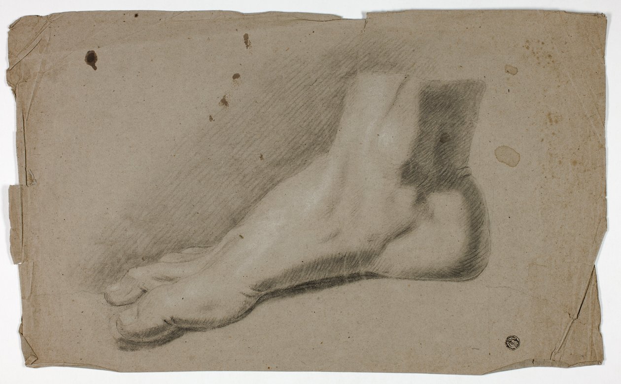 Piede destro da John Downman