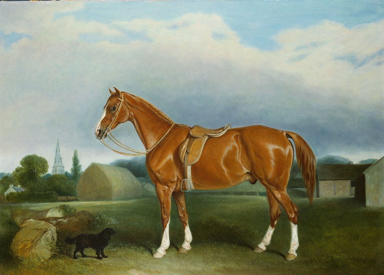 Un Cacciatore di Castagne e uno Spaniel vicino a Edifici Agricoli da John E. Ferneley