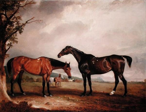 Longford Lass e l
