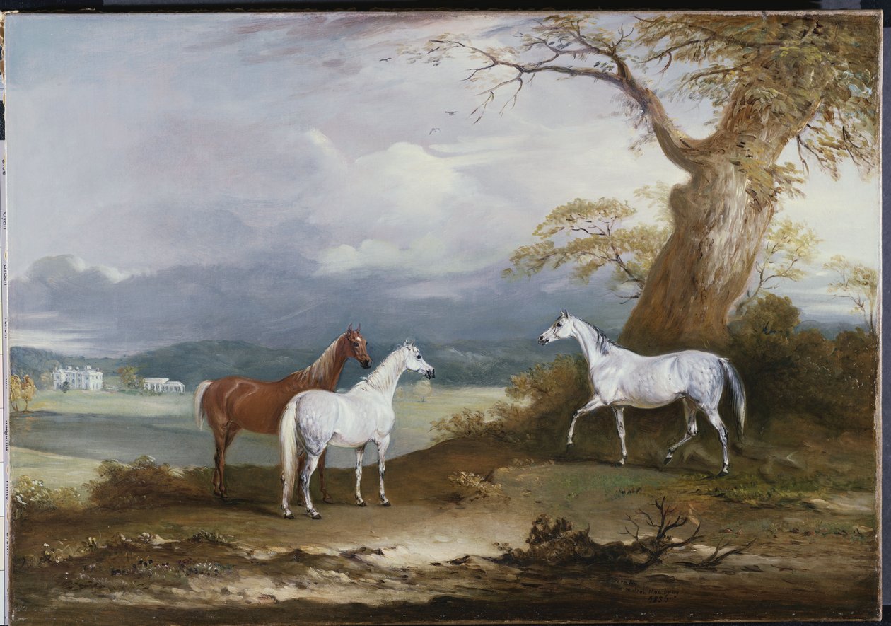 Le giumente di Lord Macdonald nei terreni di Thorpe Hall, Rudston, Yorkshire, 1836 da John E. Ferneley