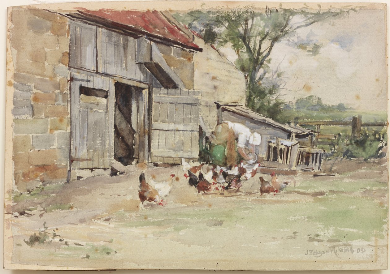 Nutrire le galline, 1909 da John Edgar Mitchell