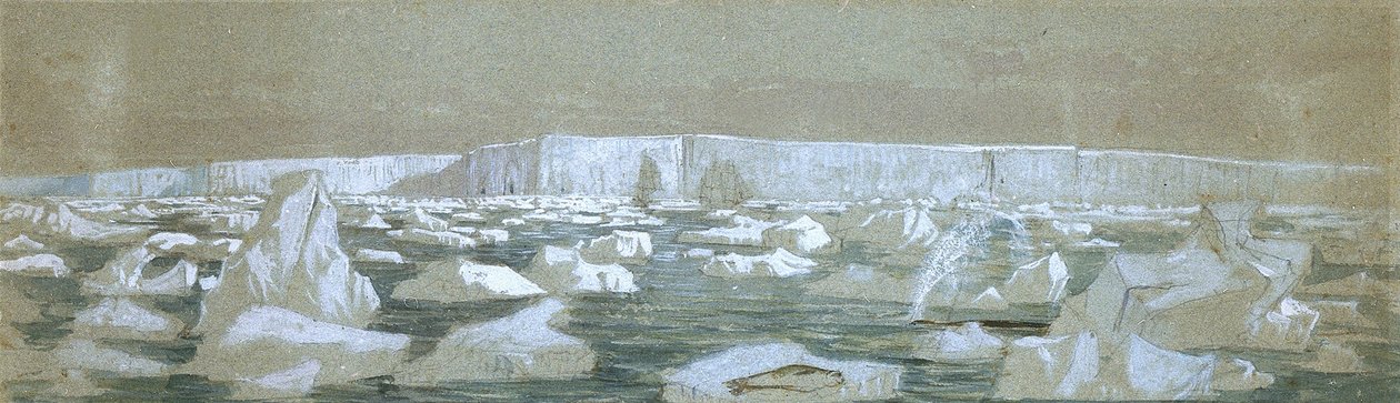 Parte della Barriera Polare Sud, 2 febbraio 1841 (acquerello) da John Edward Davis
