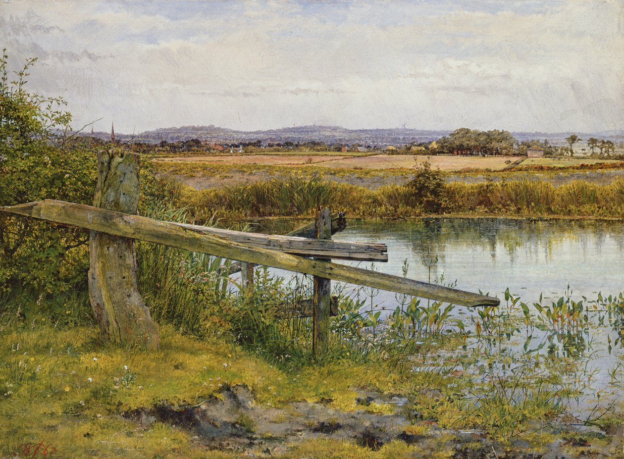 Il bordo della strada, 1862 da John Edward Newton