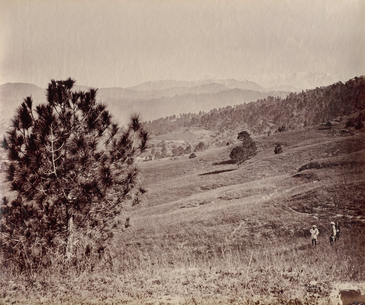 Paesaggio con albero e tre uomini, India da John Edward Saché