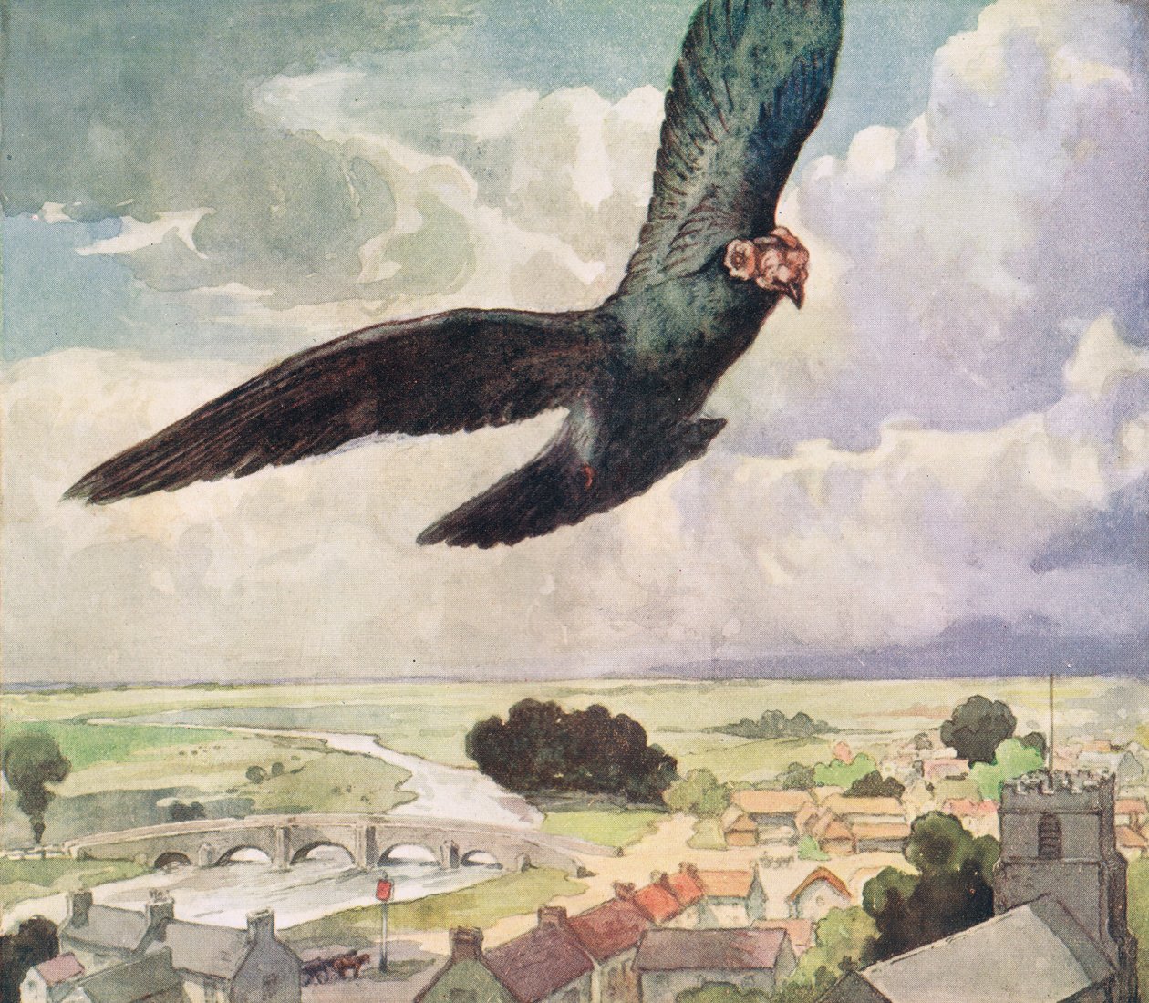 Uccello che vola sopra una città, illustrazione da 