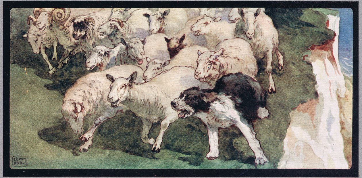 Bobtail sheepdog e gregge su scogliere, illustrazione da 