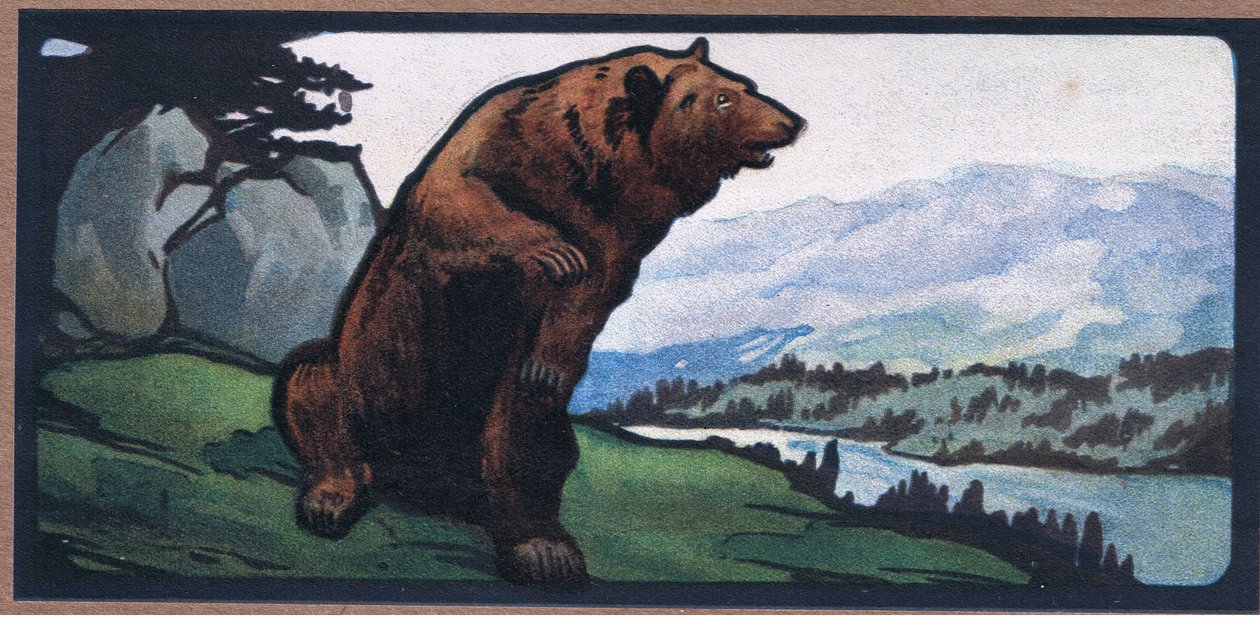 Orso Bruno da John Edwin Noble