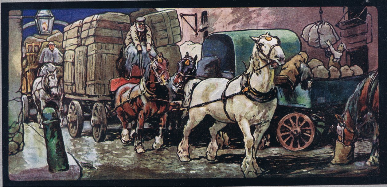 Cavalli da tiro, illustrazione da 