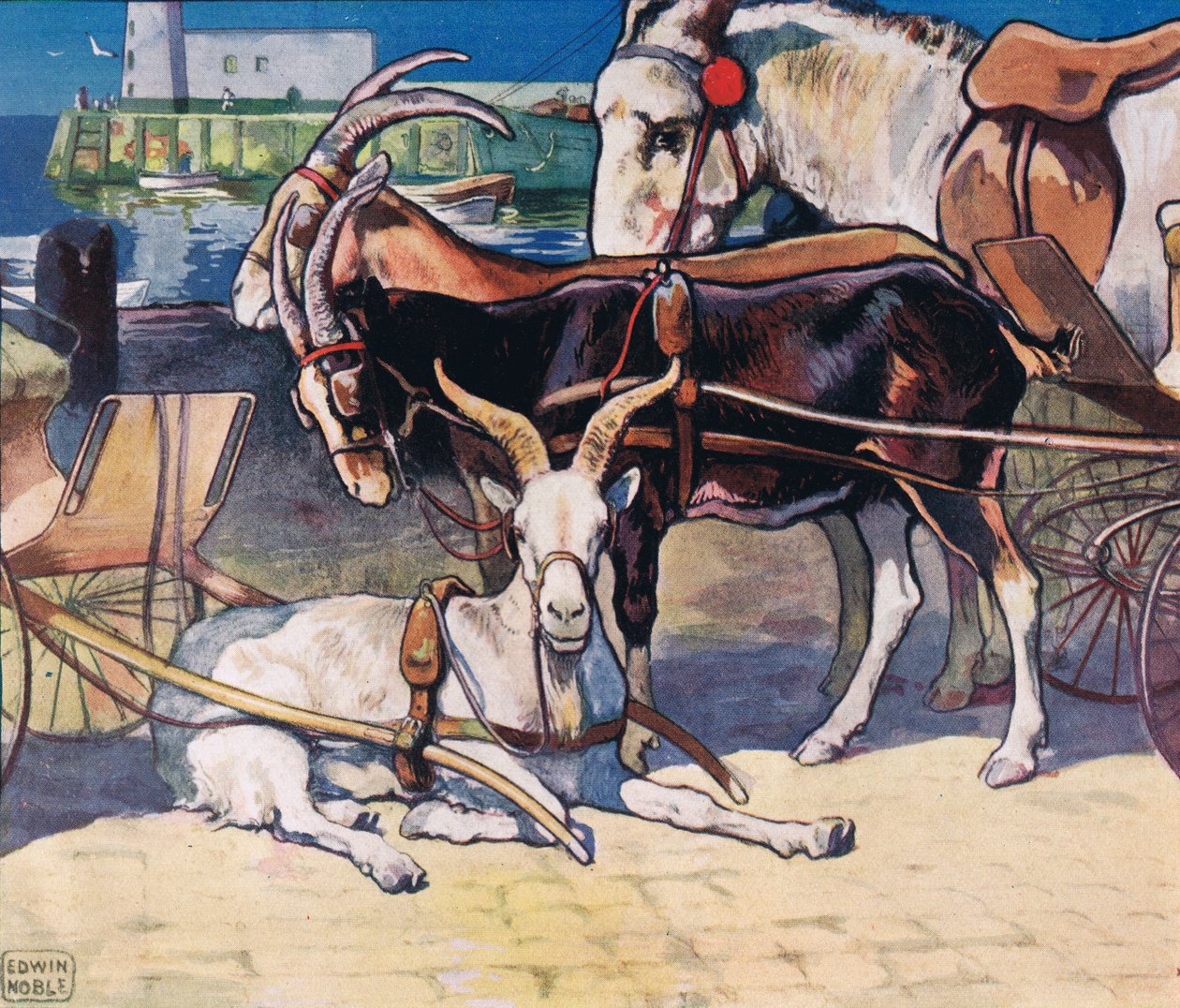 Capre a riposo, illustrazione da 