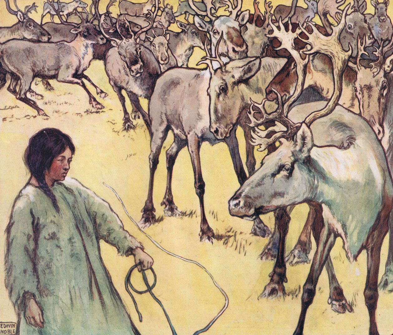Branco di alci, illustrazione da 
