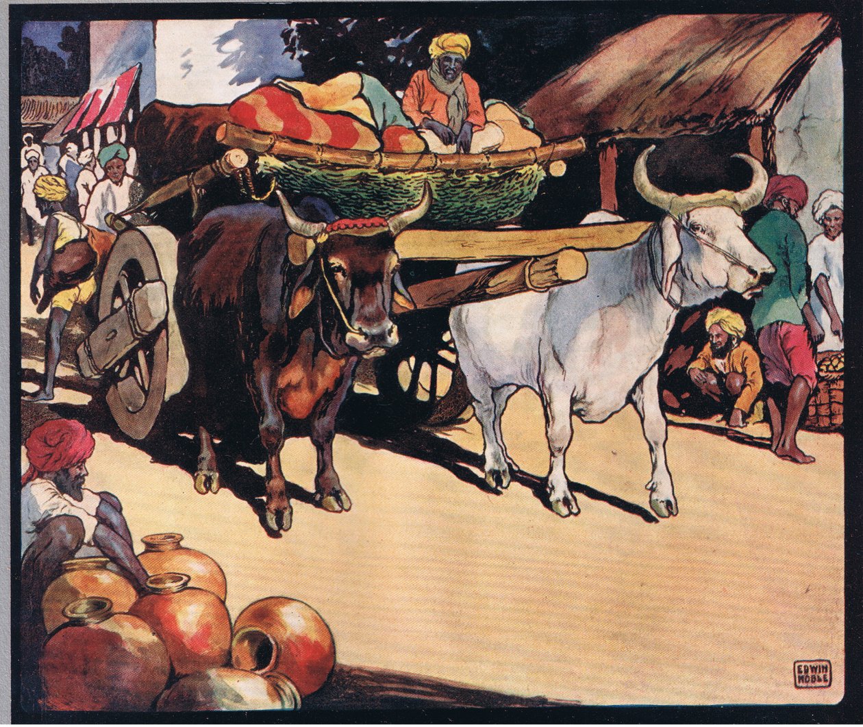 Buoi che tirano un carro, illustrazione da 