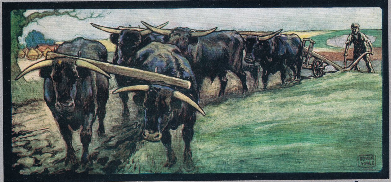 Aratura del campo, illustrazione da 