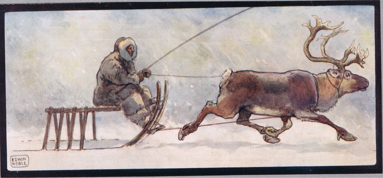 Renna e slitta, illustrazione da 