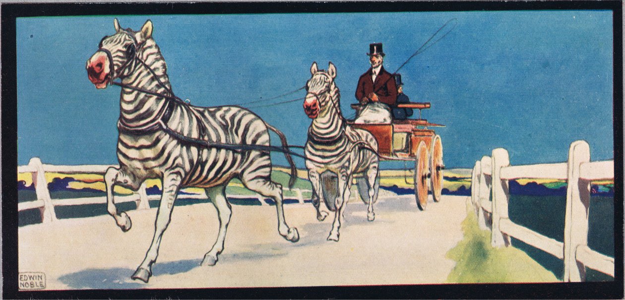 Zebre che trainano un carro, illustrazione da 
