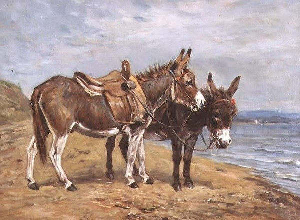 Asini al mare da John Emms
