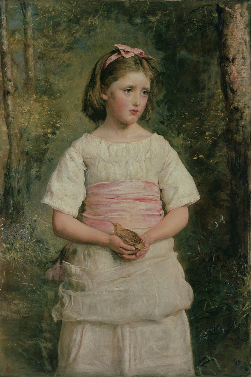 Caduto dal nido da John Everett Millais