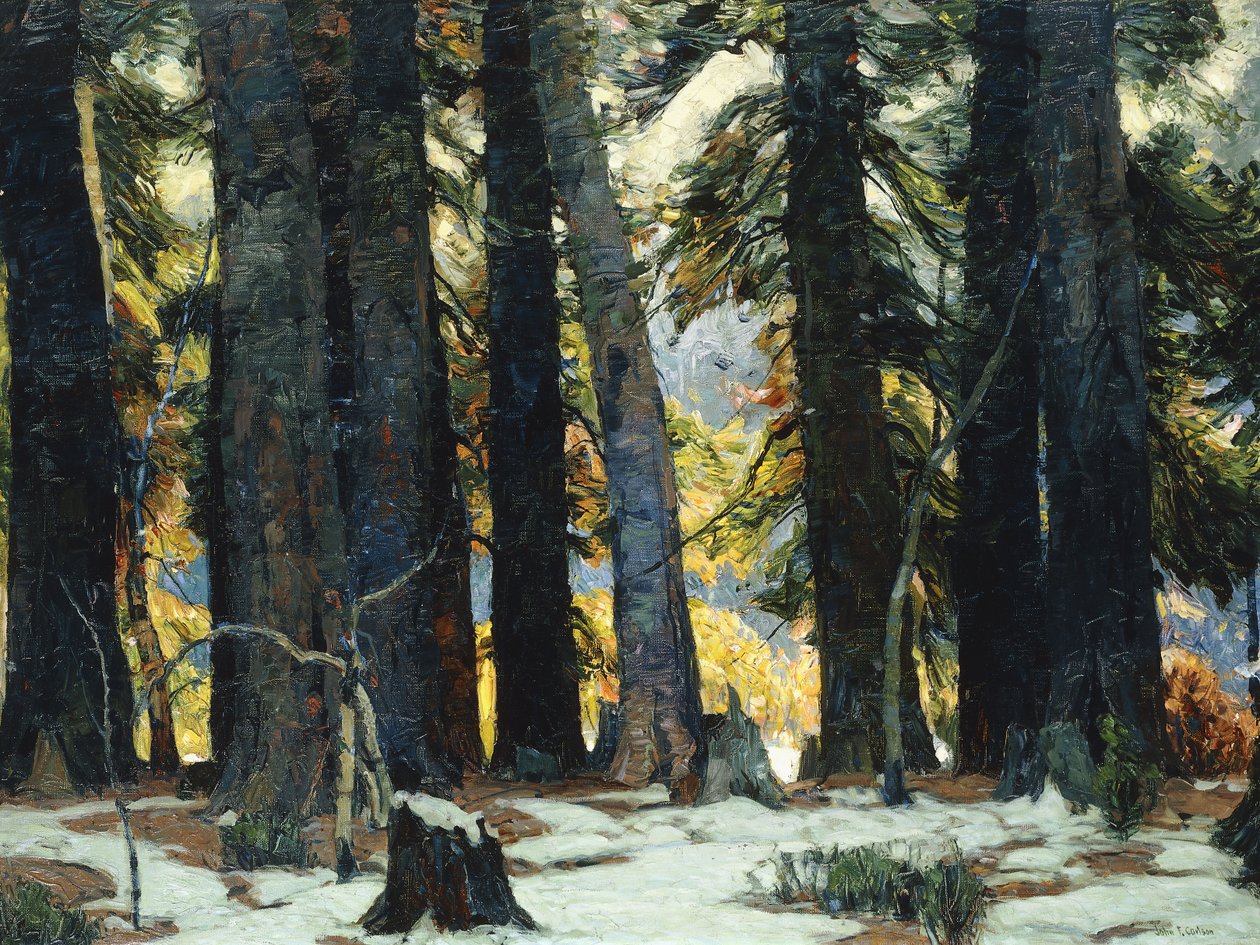 Il Santuario da John Fabian Carlson