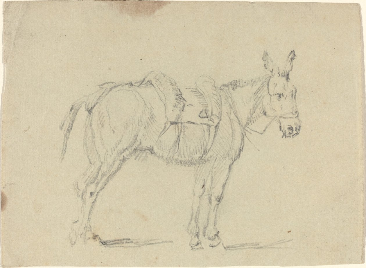 Asino che allunga una gamba posteriore da John Flaxman