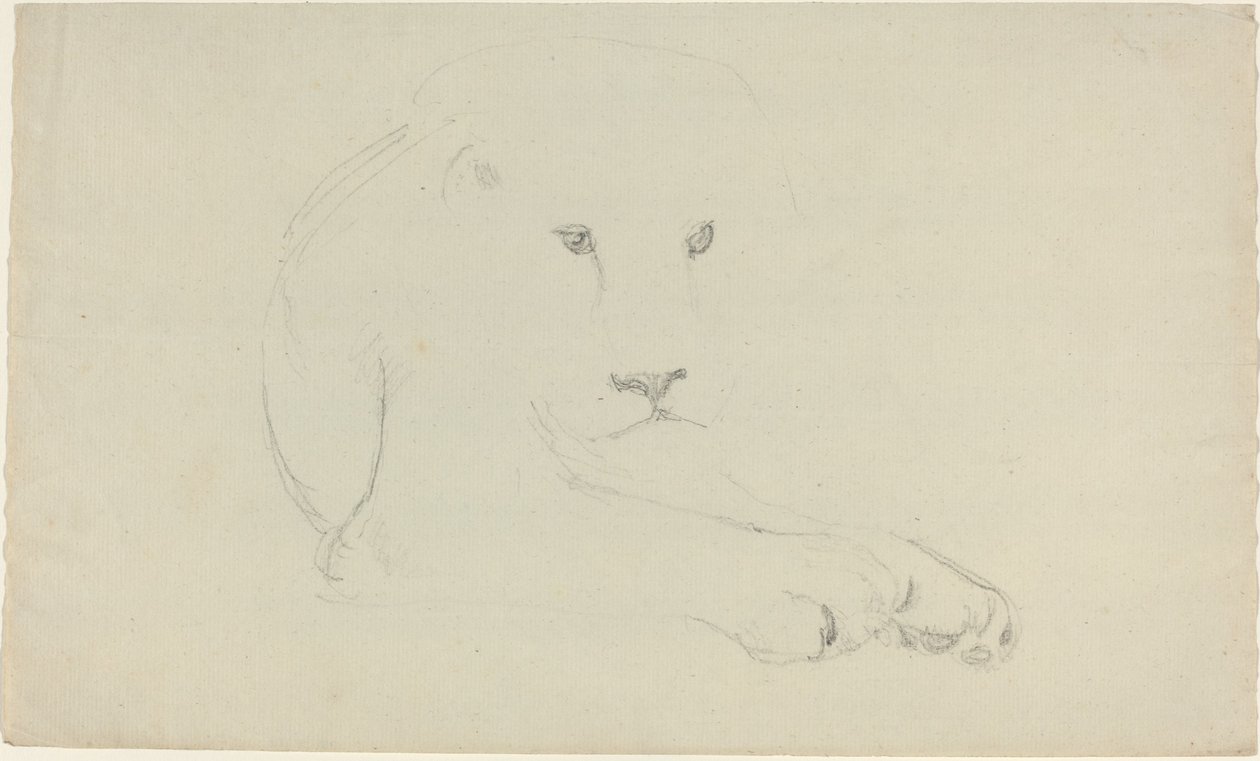 Leone da John Flaxman