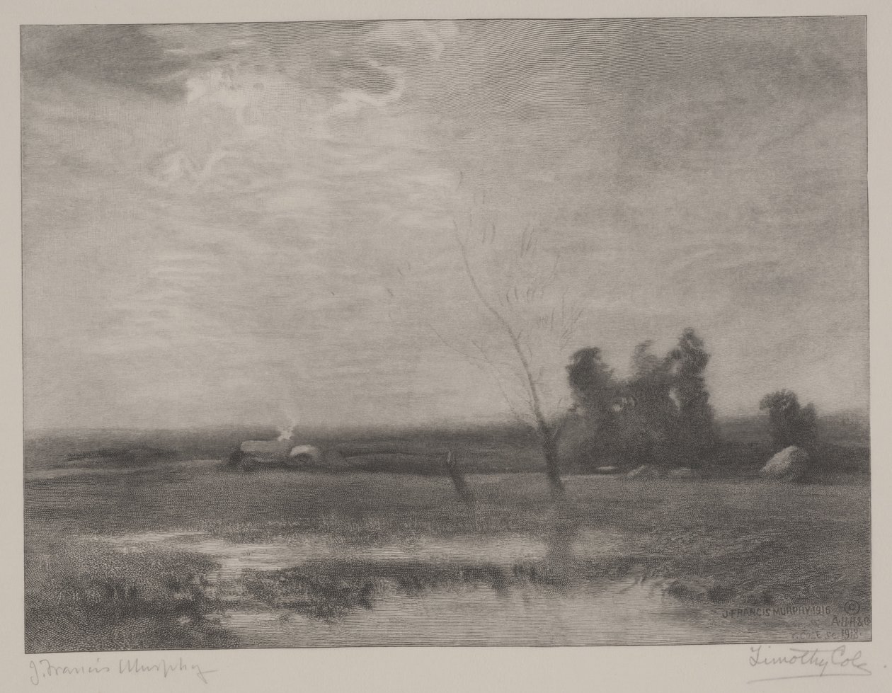 Pomeriggio nelle terre basse, stampa di Timothy Cole (1852-1931) da John Francis Murphy