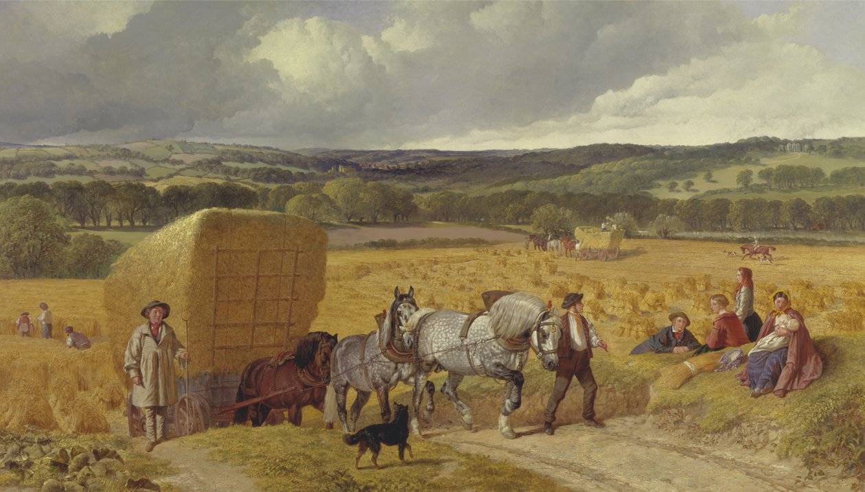 Raccolto da John Frederick Herring