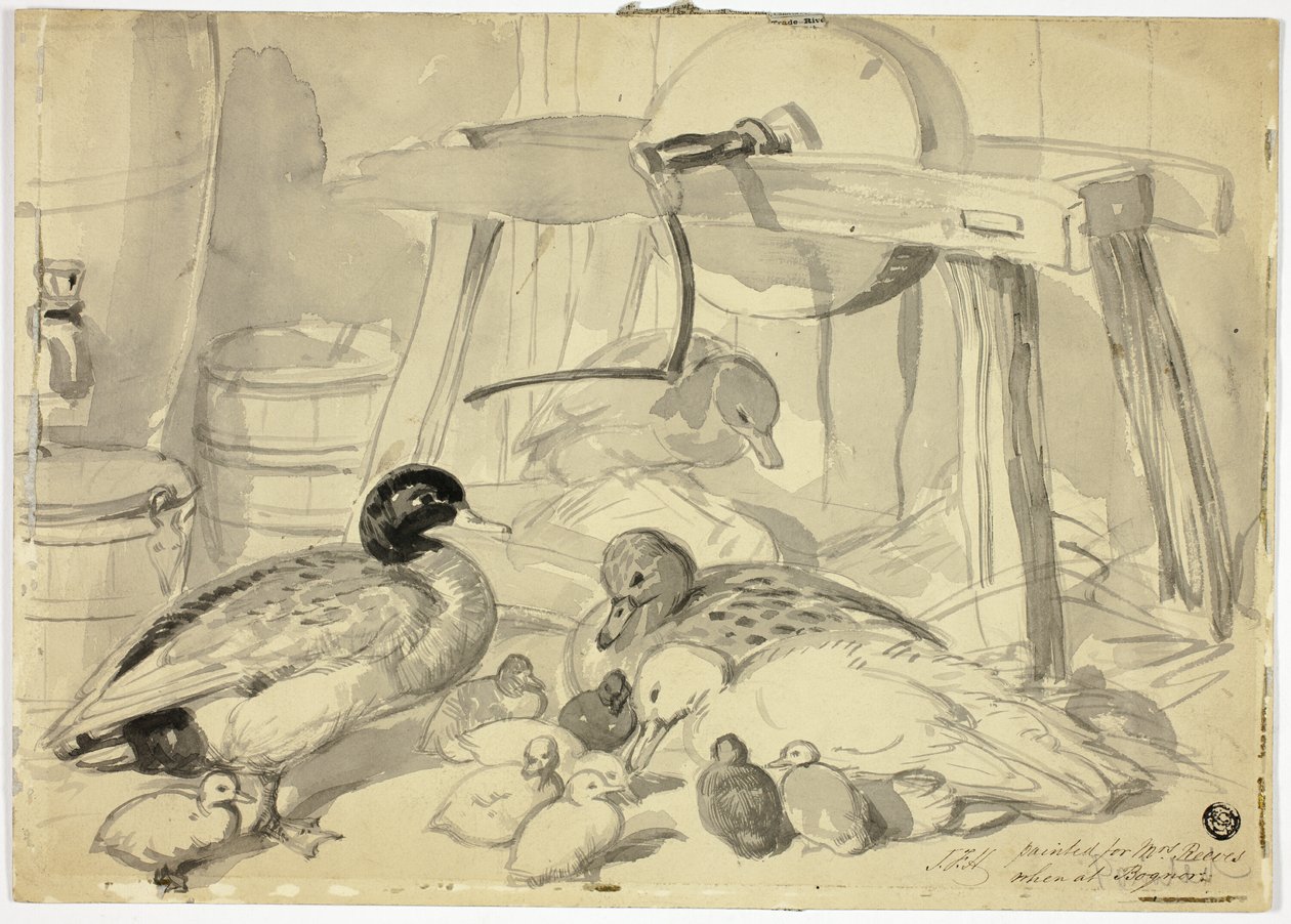 Anatre, anatroccoli e macine da John Frederick Herring I