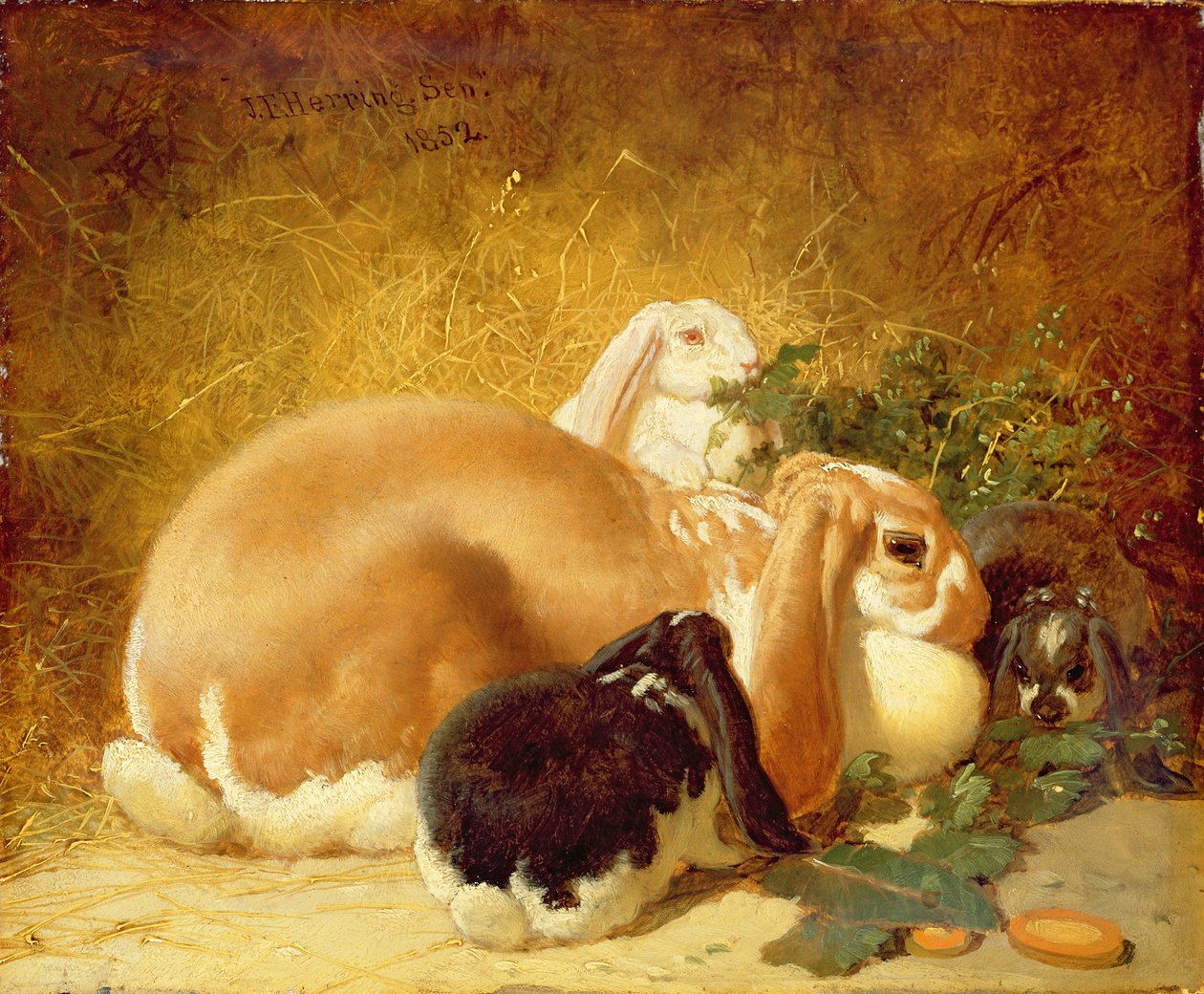 Conigli, 1852 da John Frederick Herring Junior