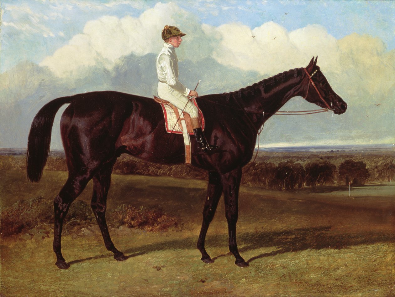 Jonathan Wild, un cavallo da corsa baio scuro, a Goodwood, T. Ryder in sella da John Frederick Herring Senior