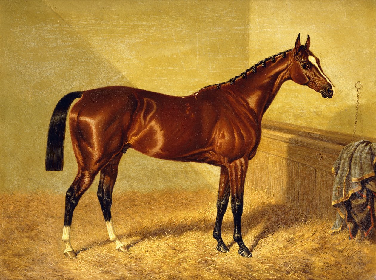 Orlando, un cavallo da corsa baio in una stalla, 1845 da John Frederick Herring Senior