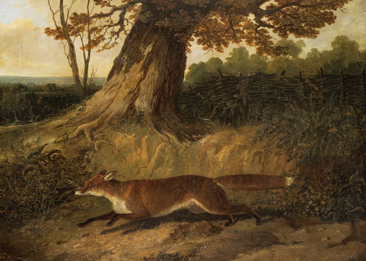 Immagine sconosciuta da John Frederick Herring Senior