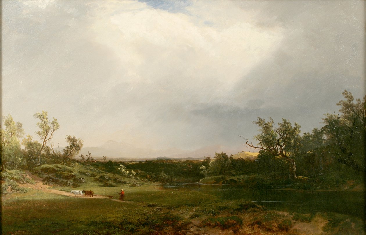 Pioggia in arrivo da John Frederick Kensett