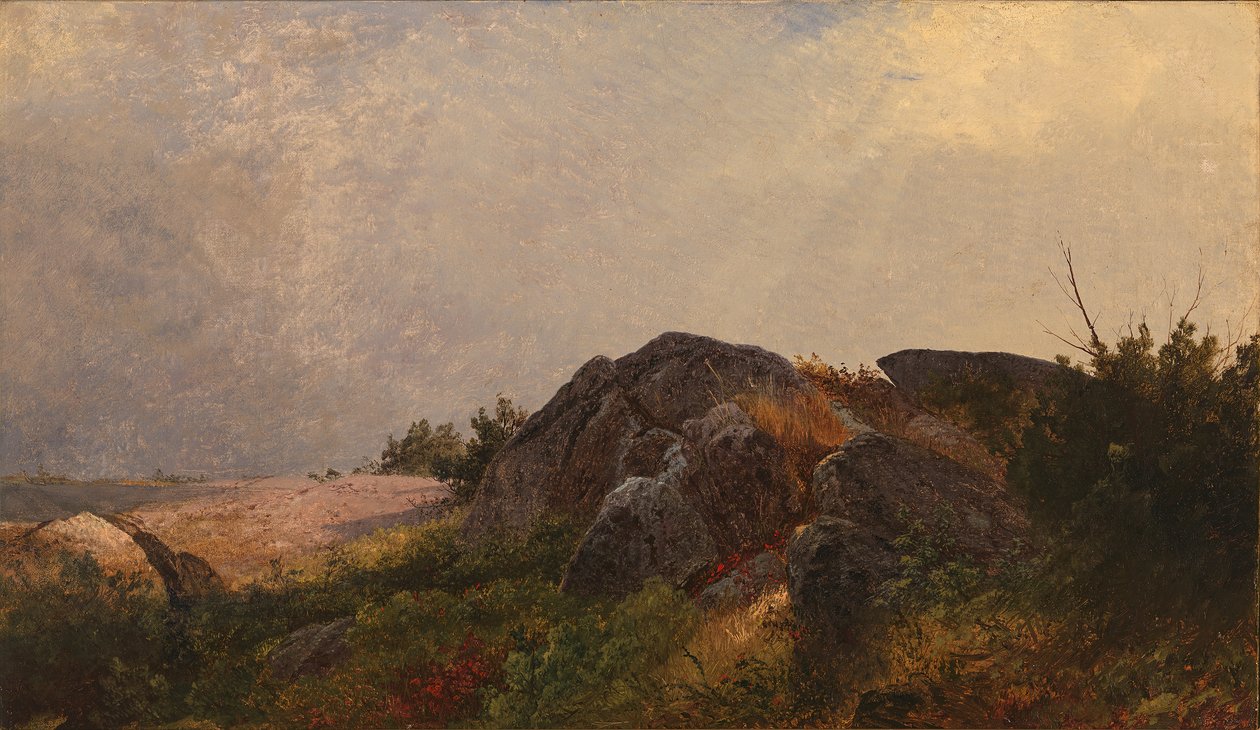 Sgombero da John Frederick Kensett