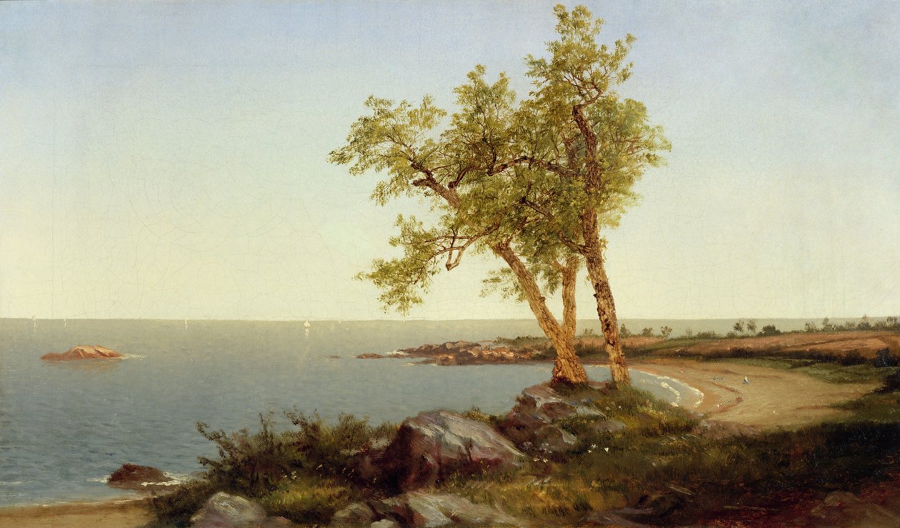 Linea di riva in estate (olio su tela) da John Frederick Kensett