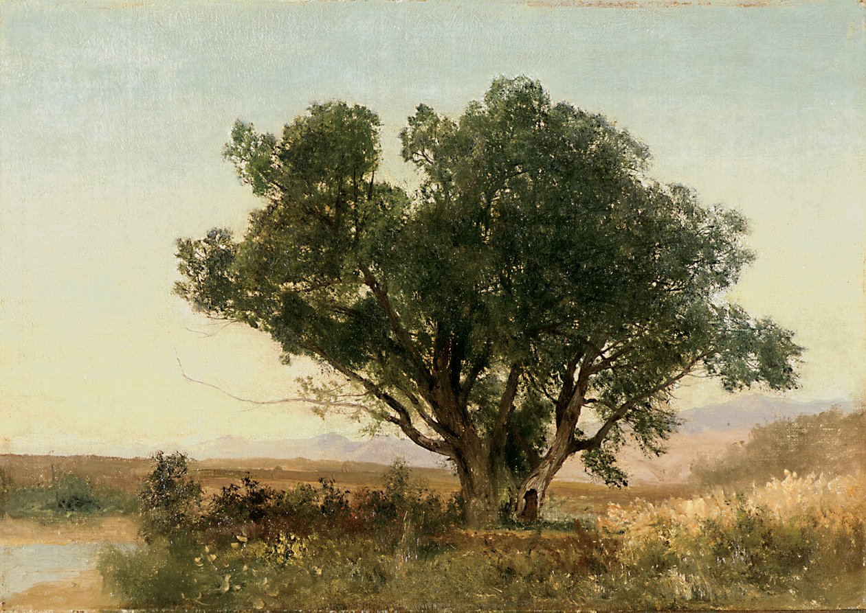 La Front Range, Colorado da John Frederick Kensett