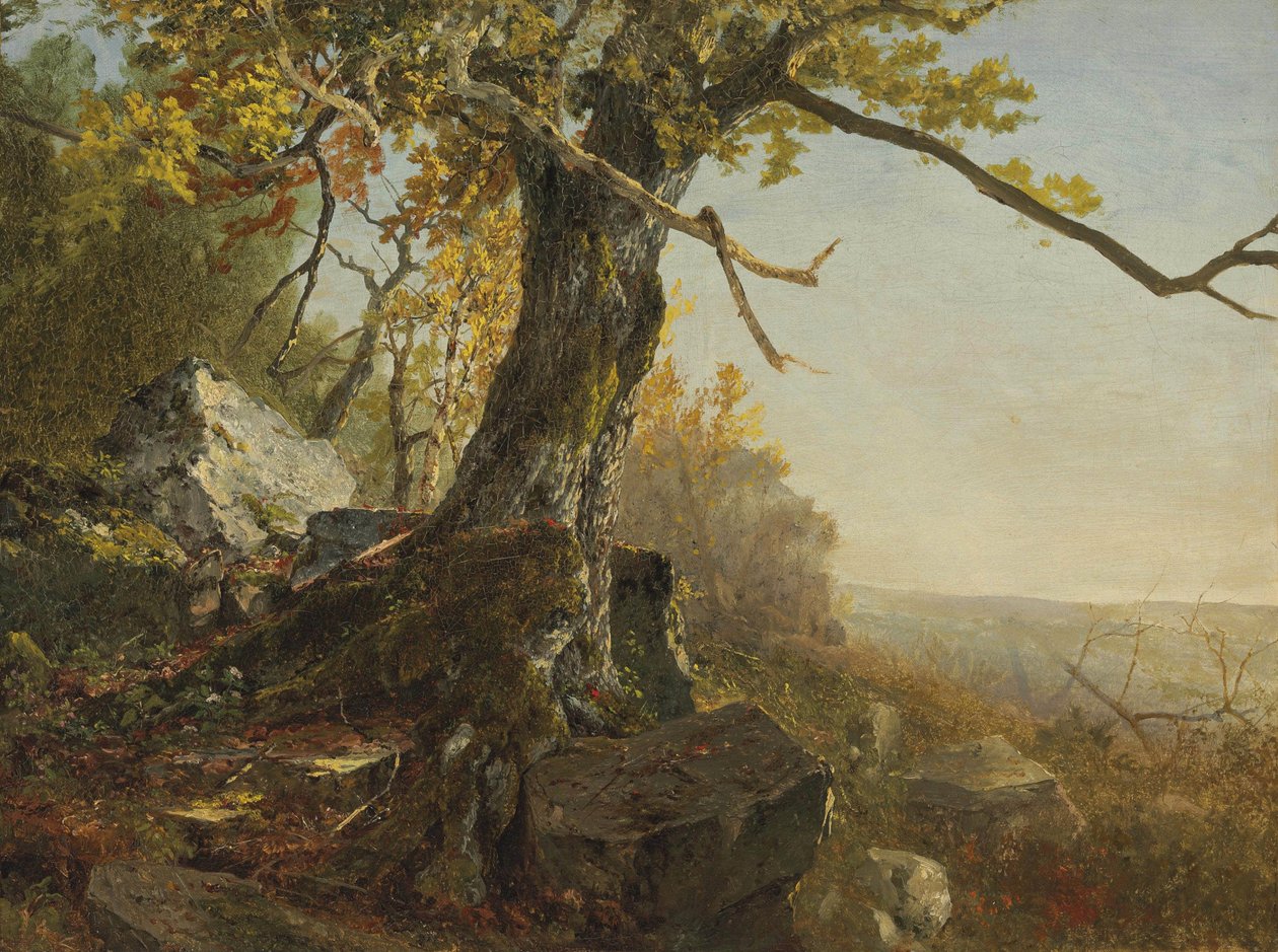 Albero in un paesaggio da John Frederick Kensett