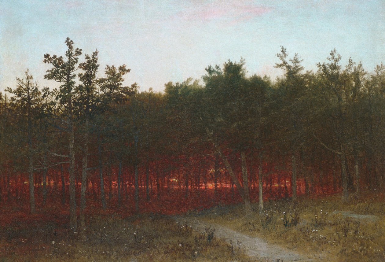 Crepuscolo tra i cedri a Darien, Connecticut da John Frederick Kensett