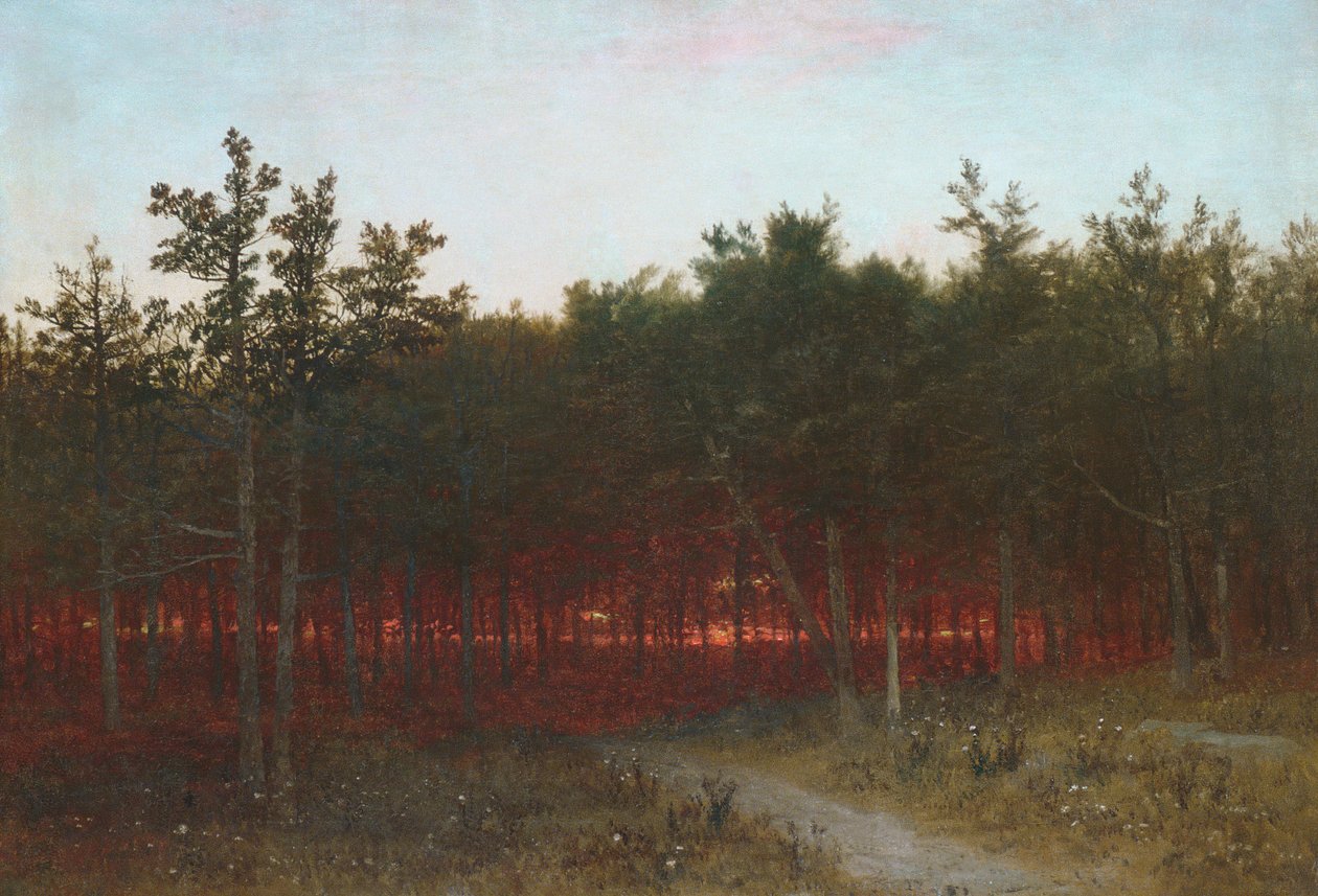Crepuscolo nei cedri a Darien, Connecticut, 1872 da John Frederick Kensett