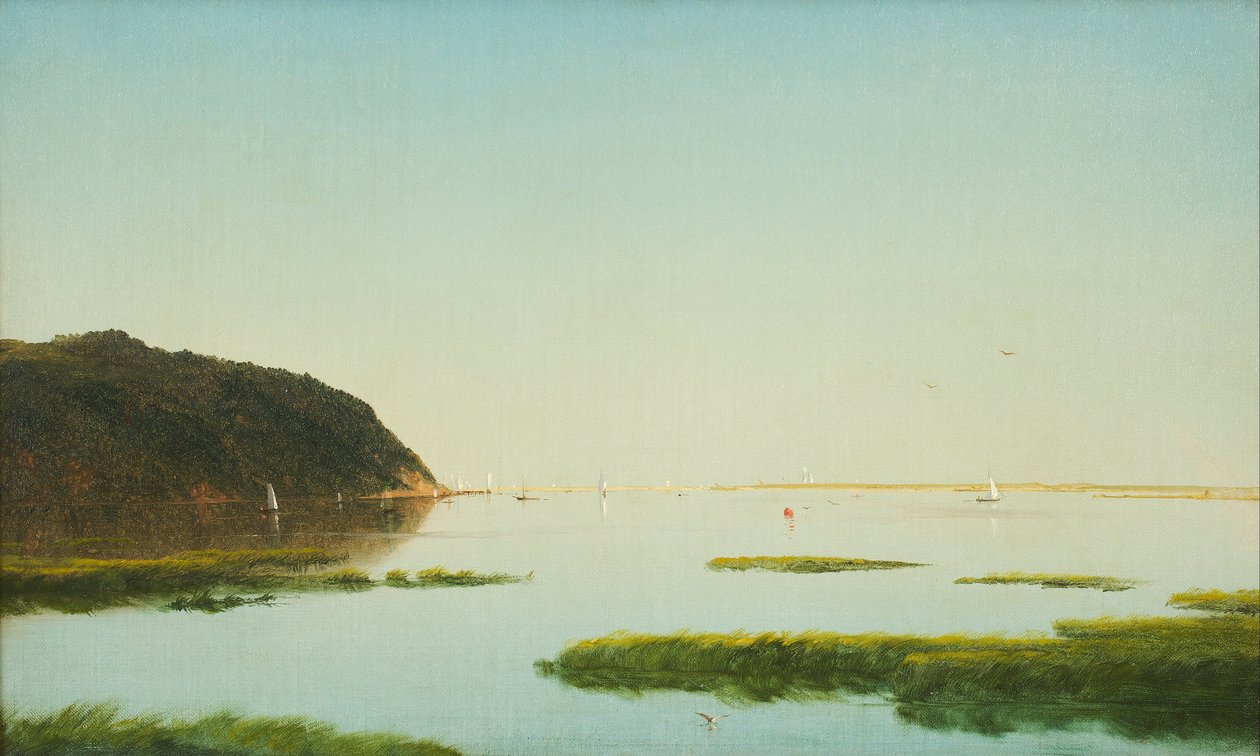 Vista del fiume Shrewsbury, New Jersey da John Frederick Kensett