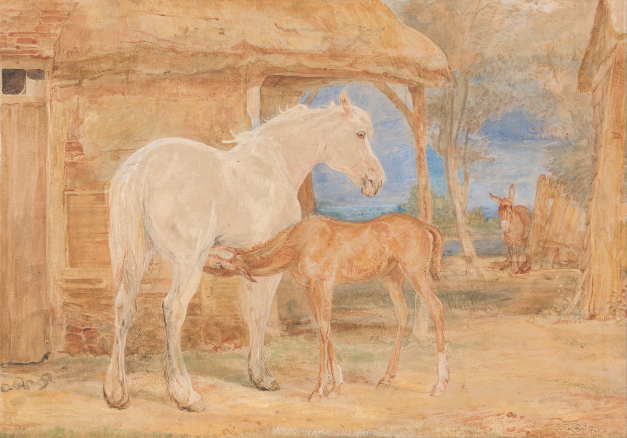 Una giumenta grigia e un puledro castano da John Frederick Lewis
