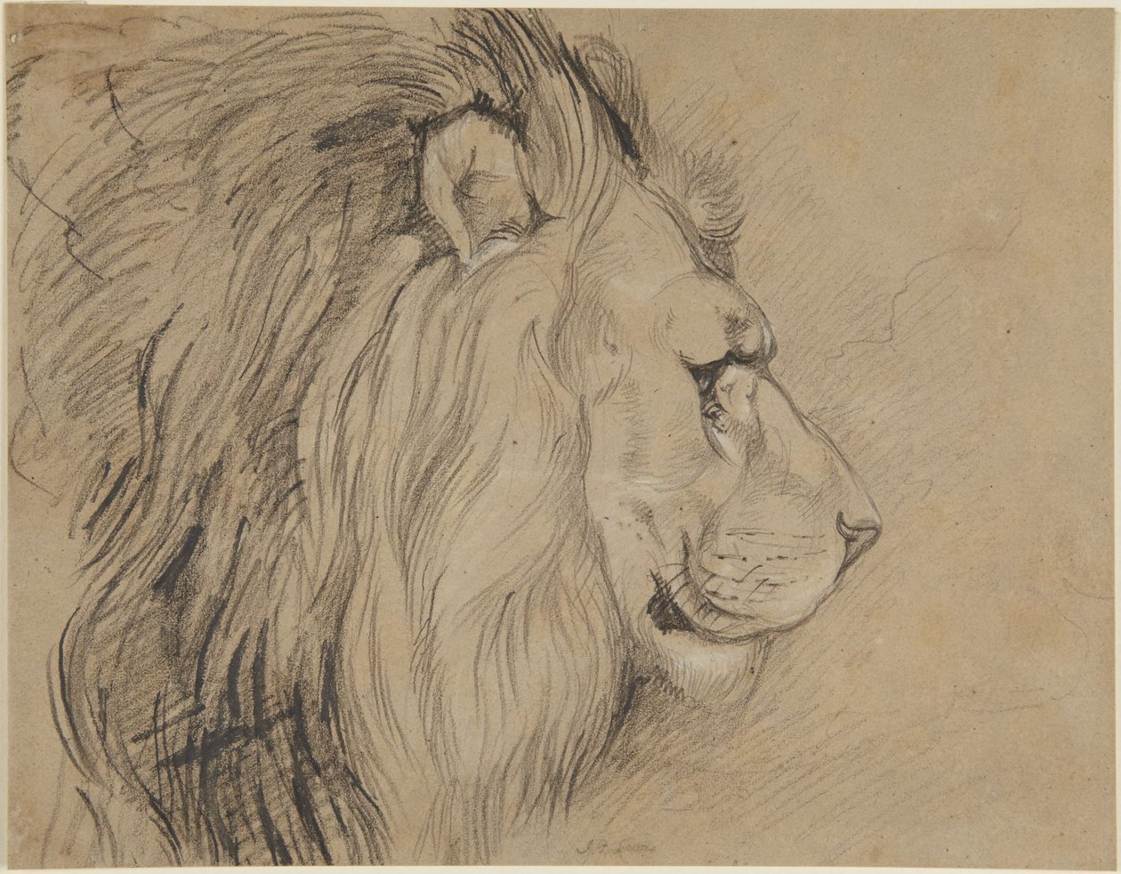 Leone da John Frederick Lewis