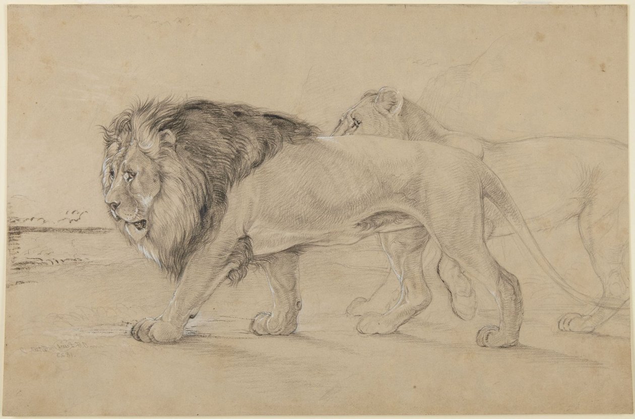 Lions da John Frederick Lewis