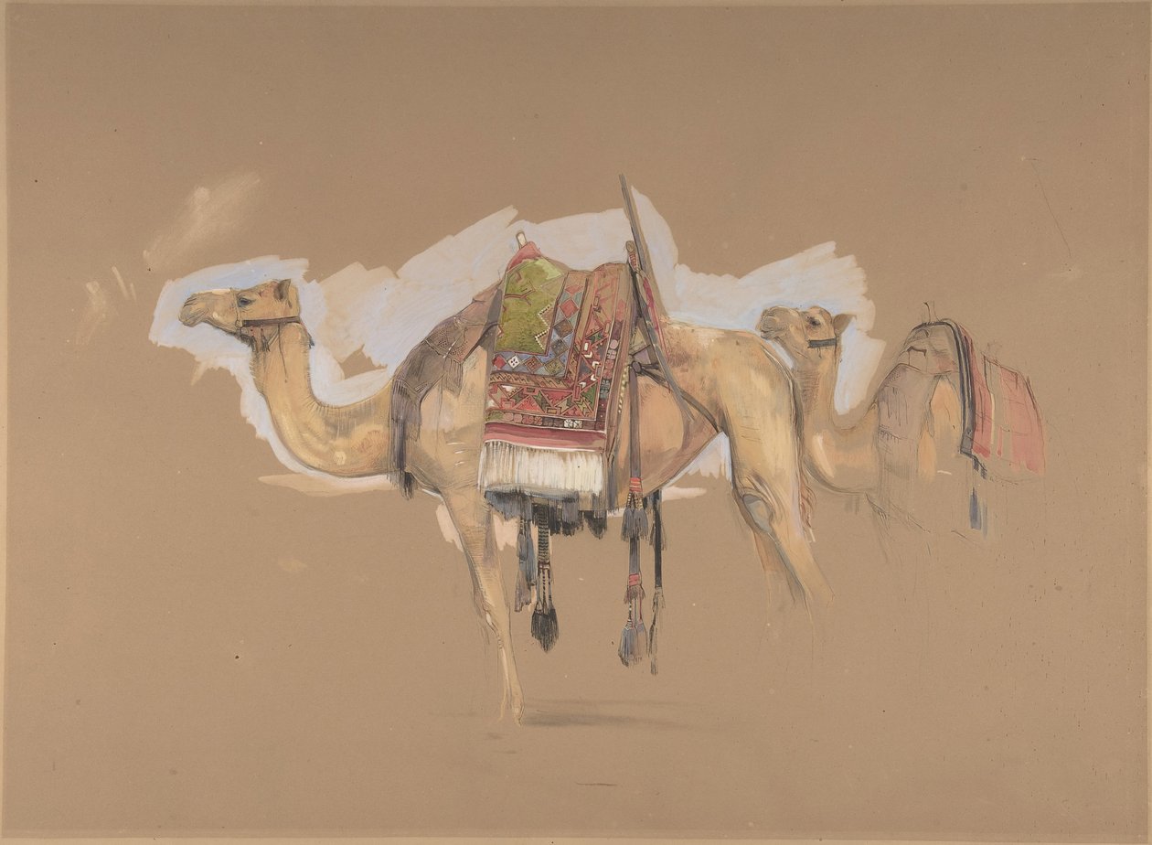 Due cammelli da John Frederick Lewis