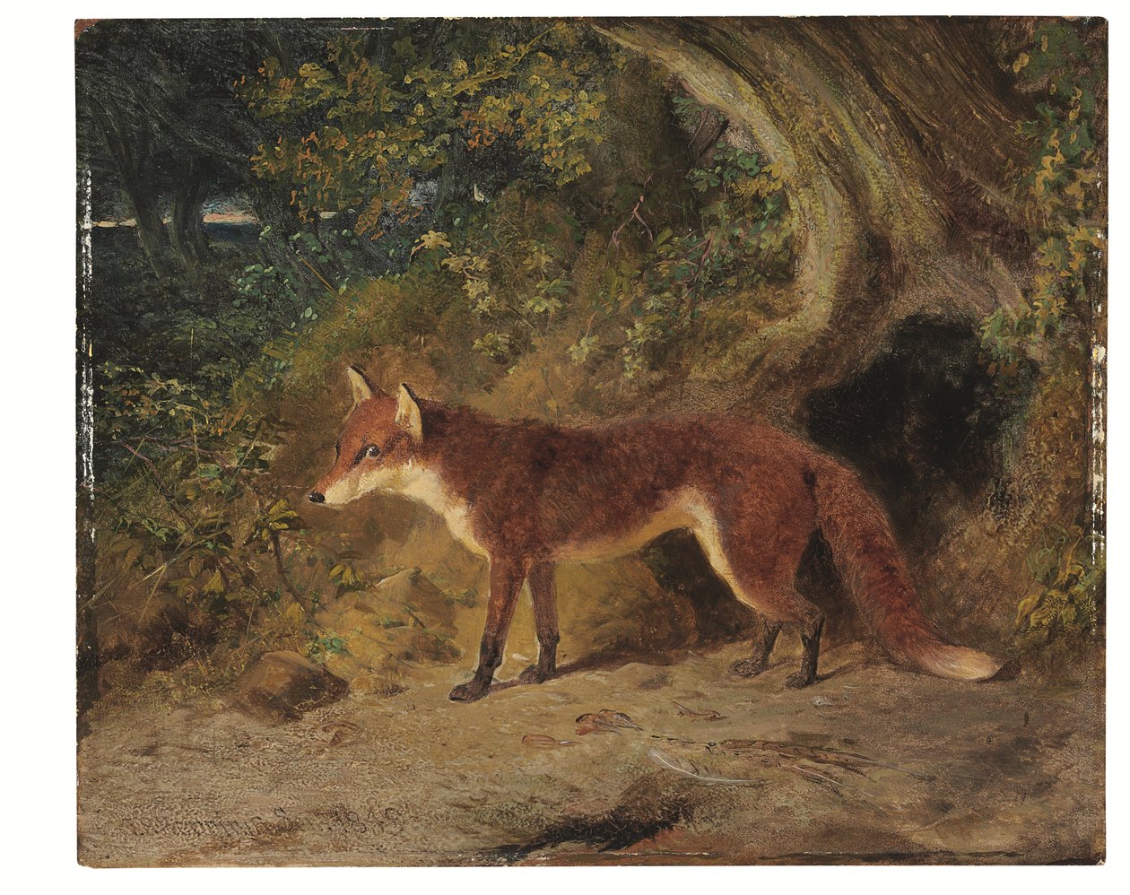  da John Frederick Senior Herring