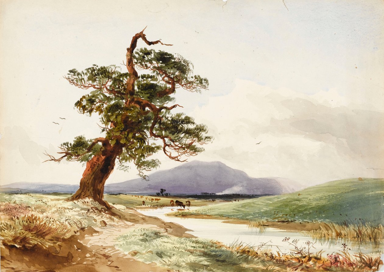 Vista di un albero vicino a un fiume con bestiame che beve e collina viola oltre da John Frederick William Herschel