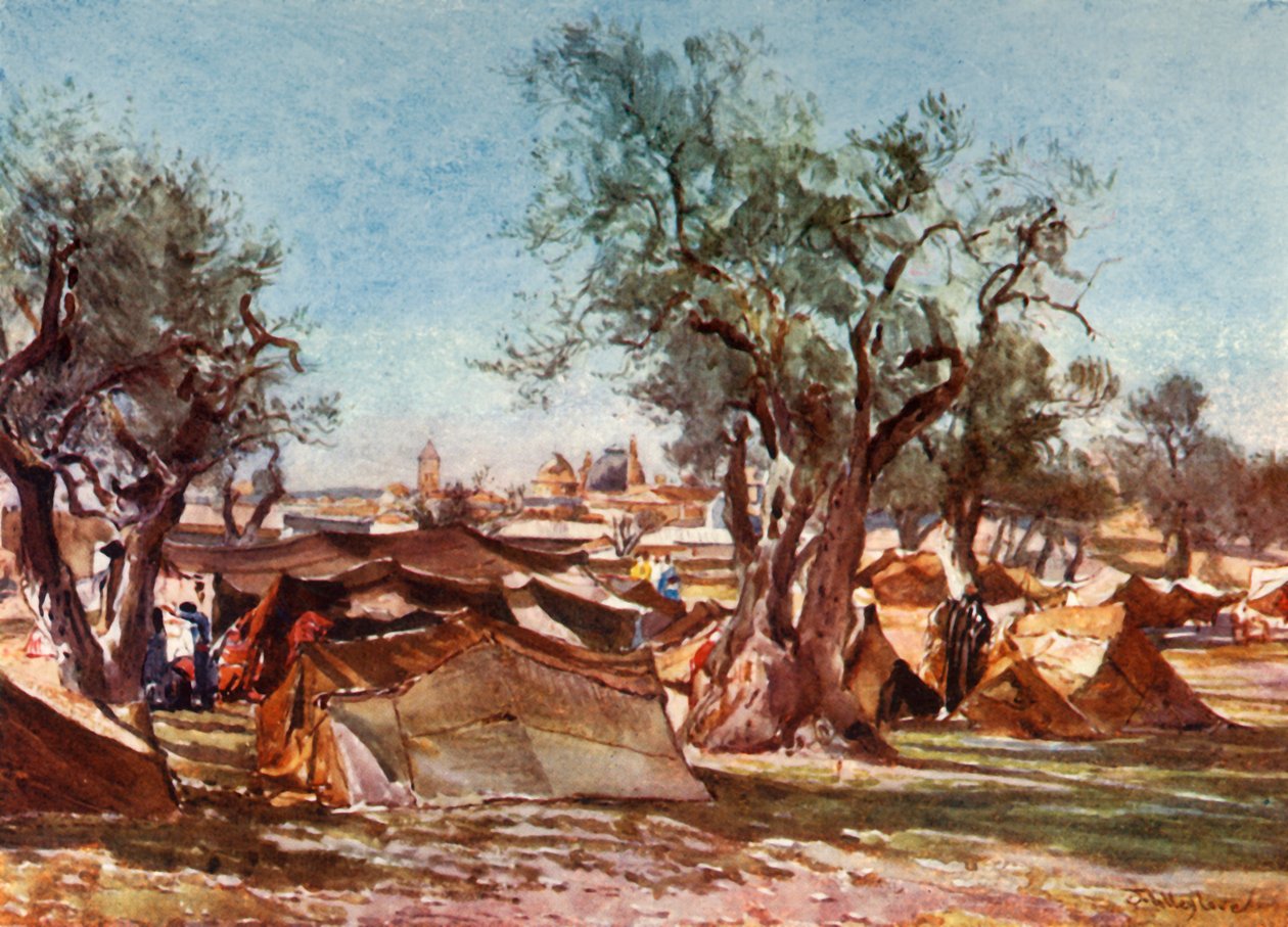 Accampamento beduino fuori dal muro nord di Gerusalemme, 1902 da John Fulleylove